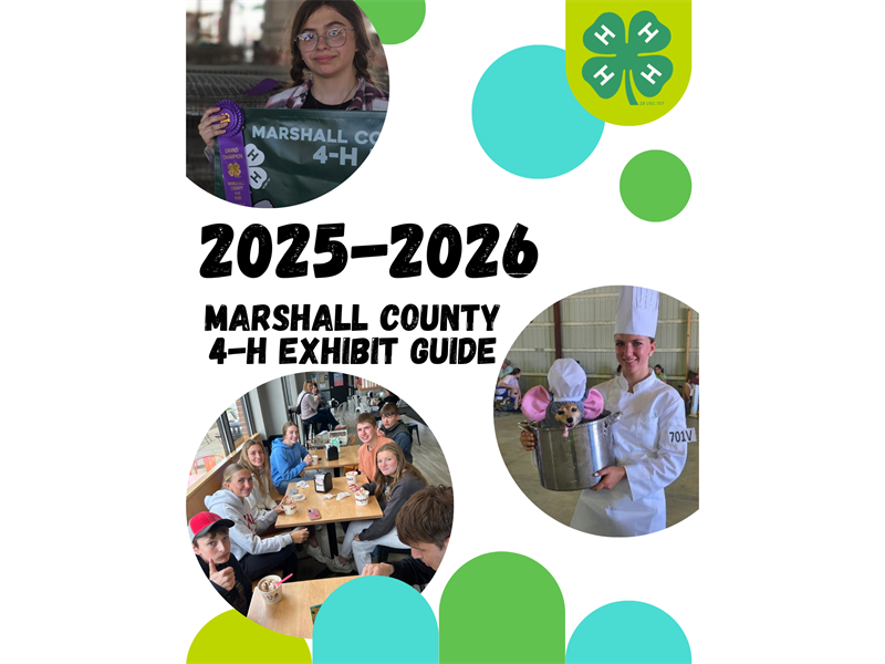 Logo for 2026 Marshall County Fair